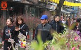 Lên ngay chợ hoa Hàng Lược để thấy Tết về